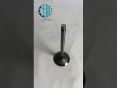 Mitsubishi S4S S6S kazıcı motor yedek parçaları için 32A04-11100 valf egzoz