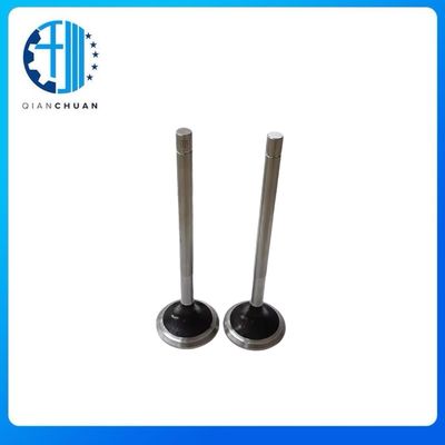 Intake Valve 4975848 3804866 3093476 3094157 For QST30 Excavator Engine Spare Parts